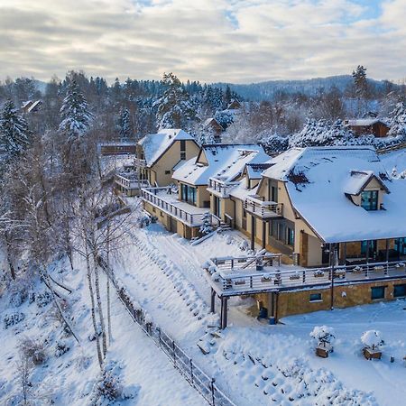 Villa Collis - Bieszczady Olchowiec Extérieur photo